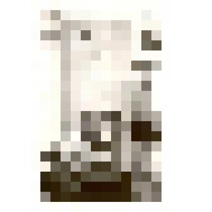 Фотография: экспозиция Каменского краеведческого музея. Отдел промышленности