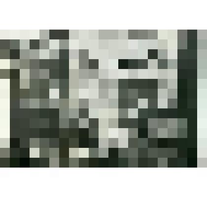 Фотография. Авиационный отдел