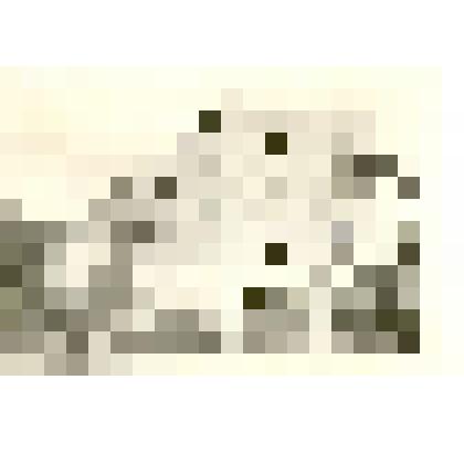 Фотография: жилой дом Каменского авторемонтного завода