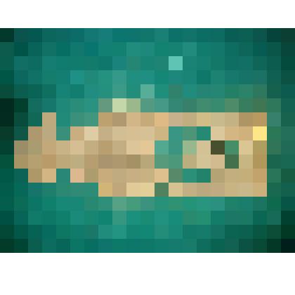 Деталь резная подстрешной доски с казачьего дома