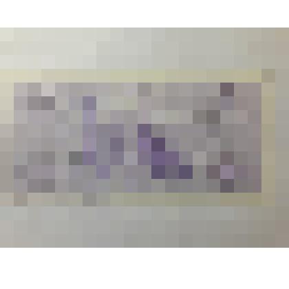 Знак денежный, 5 сум, Узбекистан,  1992 год. №  ЕА 33391318