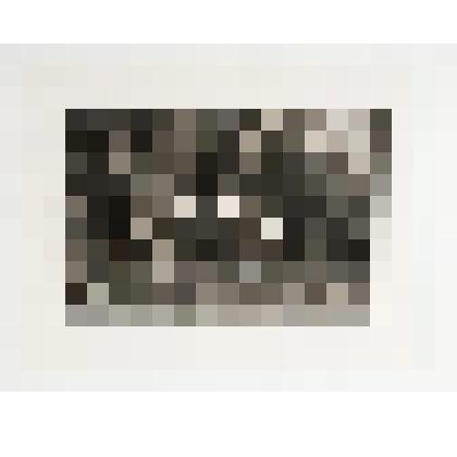 Птицелов. С картины В.Г. Перова (1870. ГТГ)