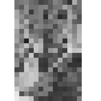 Большой дворец. Парадная лестница. Фрагмент с видом на верхнюю площадку