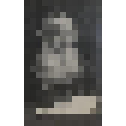 Л.Н.Толстой с книгой в руках (погрудно, 3/4 вправо, смотрит вдаль)