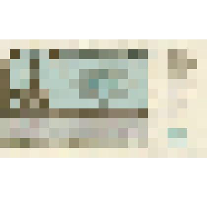 Билет денежно-вещевой лотереи