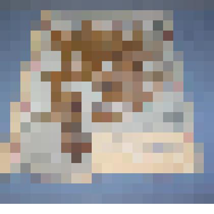 Ботаническая коллекция. Пихта сибирская, семейство сосновые, на гербарном листе, Красноярский край, Ермаковский район. Pinaceae Abies Sebirica Z