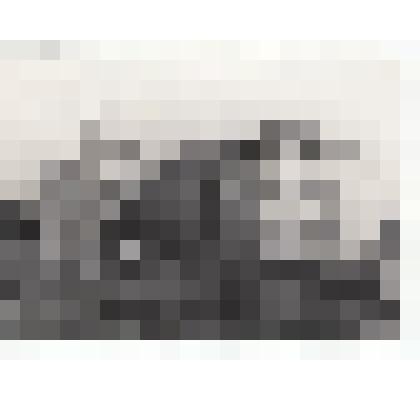 Ф/чб. Здание средней школы № 10 г. Энгельс на ул. Телеграфная,88. 1940-1960-е гг