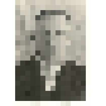 Фотография: Михеев Николай Иванович, комбайнер Рыбинского совхоза Каменского района Алтайского края