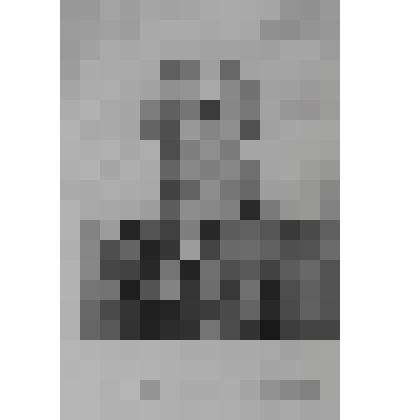 Портрет графа Бюлов