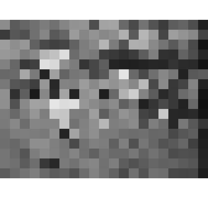 Фотография. Шукшинские чтения