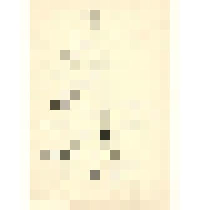 Портрет Веры Заорской, жены художника