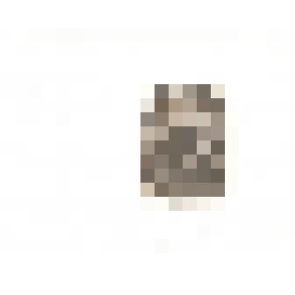 Участники Великой Отечественной войны 1941-1945 г.г. Справа Киселев Михаил Захарович