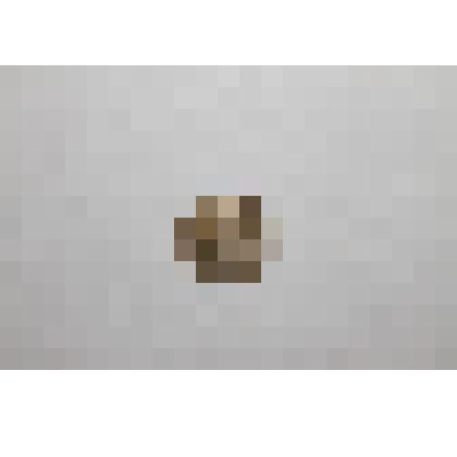 Монета 1 стотинка