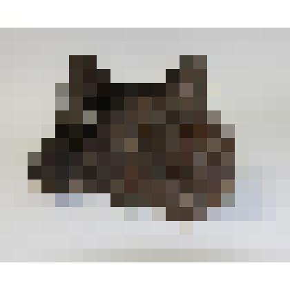 Палеонтологический образец.  "Большая берцовая кость мамонта (Mammuthus). "