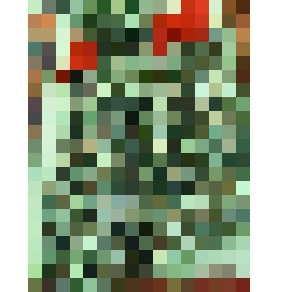 Рубашка (дэрем) женская из черно-белой и красной пестряди с манжетами из черного сатина, с ярко-красной оборкой по поясу