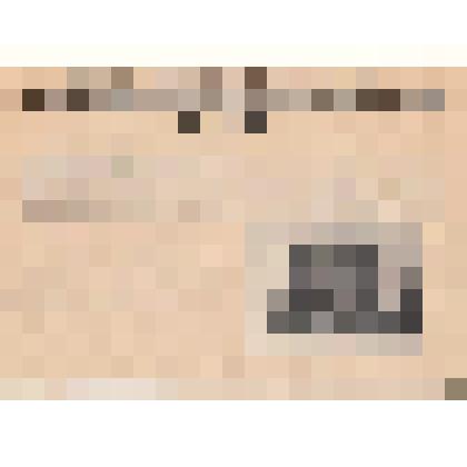 Фотонегатив репродукционный. "Дорожные сани Петра Великого"