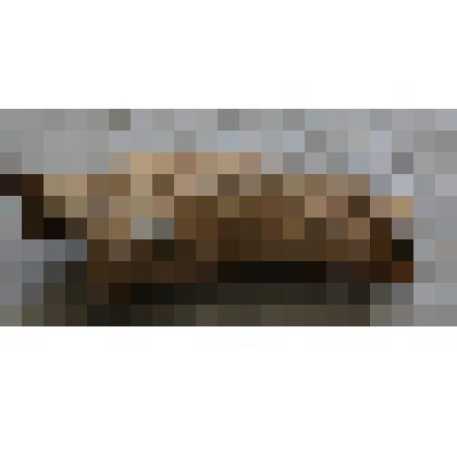 Рог древнего животного (бизона)