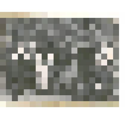 Фотография: старейшие учителя г.Камня-на-Оби Алтайского края в Новосибирске