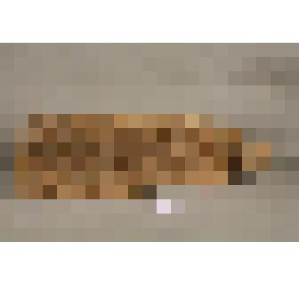 Донце прялки