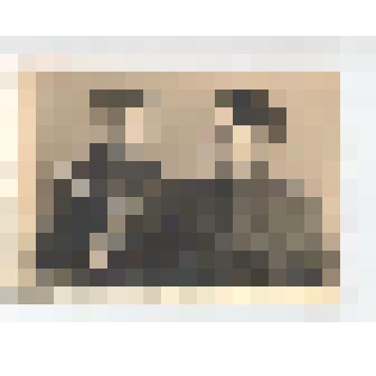 Фото/чб. Майор Костин И.С., зам. нач-ка по политчасти армейского полевого госпиталя 5264 (справа) с мальчиком (с ручным пулеметом в руках) в дни Победы в ВОВ. Германия.1945