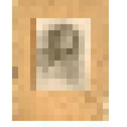 Фотография. Клемент Ефремович Ворошилов (в форме красного командира с орденом Боевого Красного Знамени на груди)