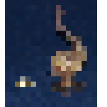 Флакон  туалетный - дельфин