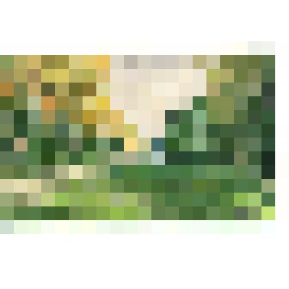 Этюд. Дорога Стромынка на деревню Алабухино