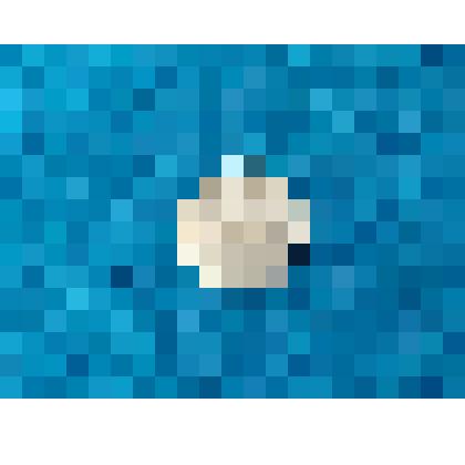 Монета разменная 15 копеек 1961г