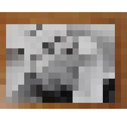 Фотография чёрно - белая. Учитель физкультуры Уватской средней школы в 80 - 90-е годы ХХ века