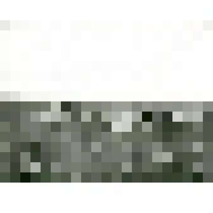 Фотография. Распилка леса