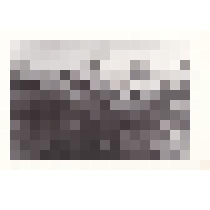 Фотокопия групповая