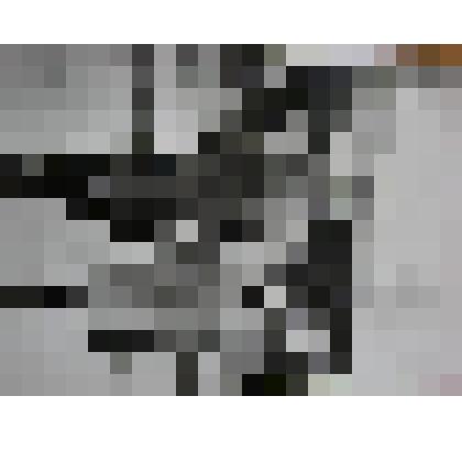 Фотографи ветеранов 2 Гвардейской Армии