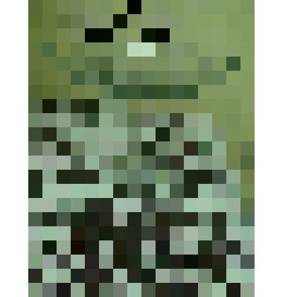 Ваза для фруктов