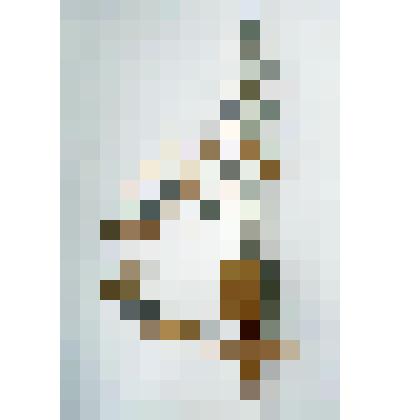 Кашпо настенное