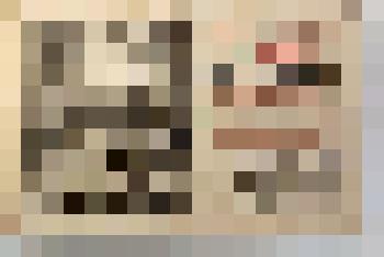 Книга на латинском языке Conradi  Samuelis Schurzfleischii Opera historica politica...- Berolini: Apud Hered. Heinr.-Joh. Meieri, 1699