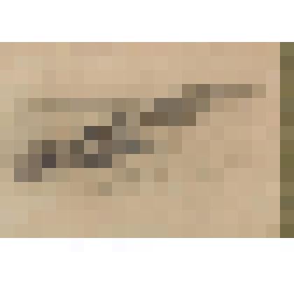 Монастырь на берегу реки