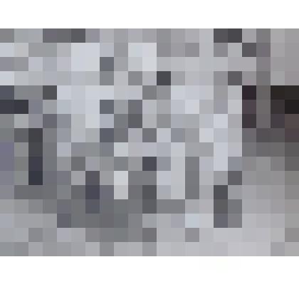 Фотография групповая. Играющие дети