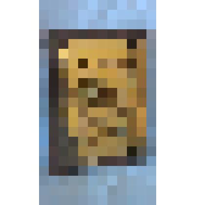 Благодарность президенту фонда ветеранов спецподразделений  и сотрудников ФСБ России "Антитеррор" Шуеву Владимиру Алексеевичу от директора фонда "Метелица" Ляхмана Т.А. за вклад и активное участие в развитии художественной гимнастики в Новосибирске