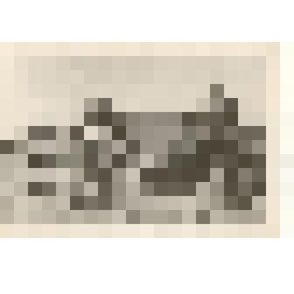 Фотография: загрузка сеялок при помощи самоходного шасси колхоза "Рассвет" Каменского района Алтайского края