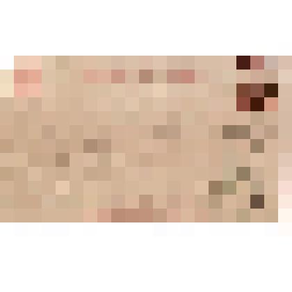 Открытое письмо в г. Чердынь Алину Василию Осиповичу из г. Ишима от П.Желтышева, 17.10.1895 г