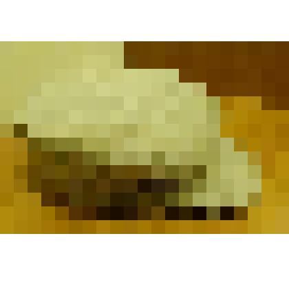 Фуражка.
 Принадлежала Частухину А.А., участнику революционных событий в г. Кинешме в 1917 г