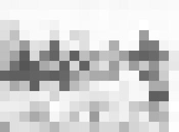 Фотография Всесоюзный поход по местам битв за Советскую власть.  Леня Мусин приветствует военкома А. Стасюка, секретаря А. Соткина