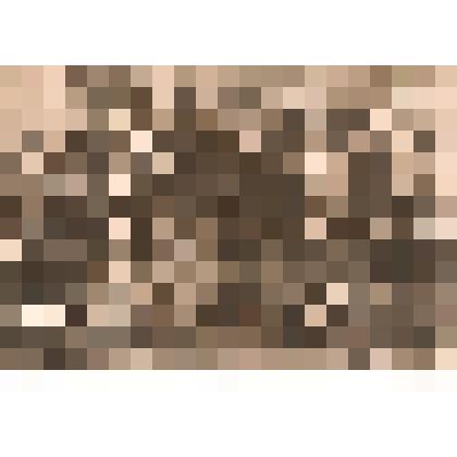 Фотография. Группа рабочих-ударников Аркадакского участка Балашовского лесхоза. Изображение в 3 ряда, 1-й, 2-й сидит; на фоне конторы