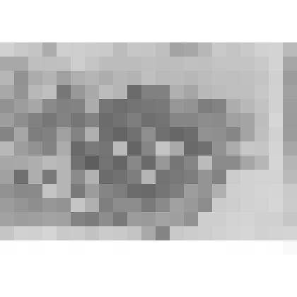 Фотография. Делегаты Девятой Новоузенской районной партийной конференции 1939 года