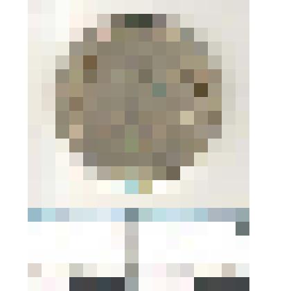 Монета 100 рублей