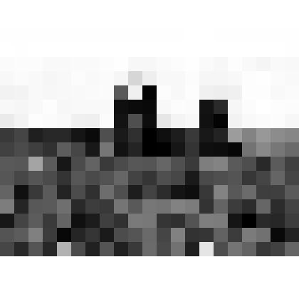 Фотография. Междурядная обработка посевов сахарной свеклы