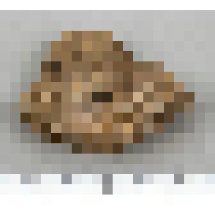 Шлифовальная плита, обломок