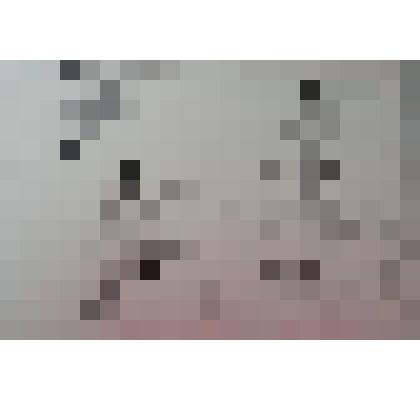 Академический рисунок "Голова лошади"