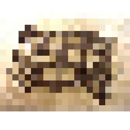 Борона зубовая