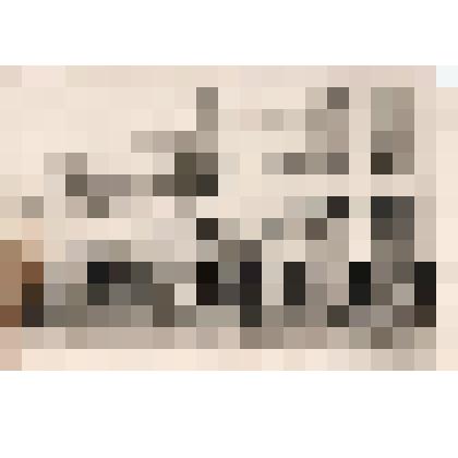 Фотография ч/б. "Ученицы 423 школы г. Кронштадта на посадке деревьев"